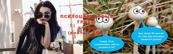 эйфоретик Краснослободск