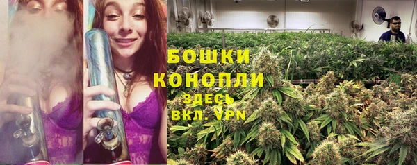 альфа пвп Усинск