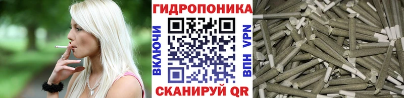 Купить  Инта  Бошки марихуана OG Kush 